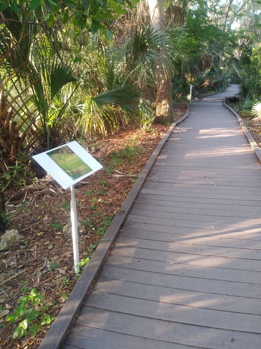boardwalk through natural area with signage