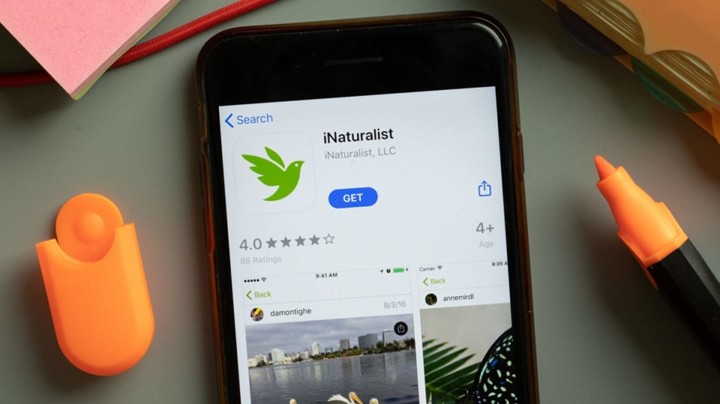 Inaturalist Workshop Explore Identify Contribute Merritt Island 